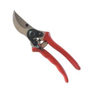 Bypass Secateur