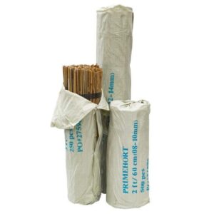 Bamboo Cane