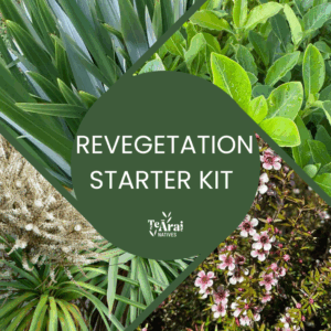 Mixed Trays - Revegetation