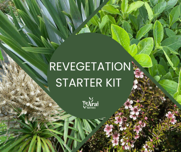Mixed Trays - T28 - Revegetation .5L