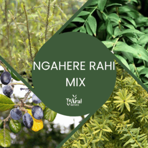 Mixed Trays - T28 - Ngahere Rahi Mix .5L