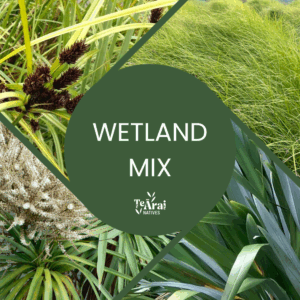 Mixed Trays - T28 - Wetlands .5L
