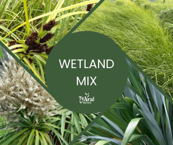 Mixed Trays - T28 - Wetlands .5L